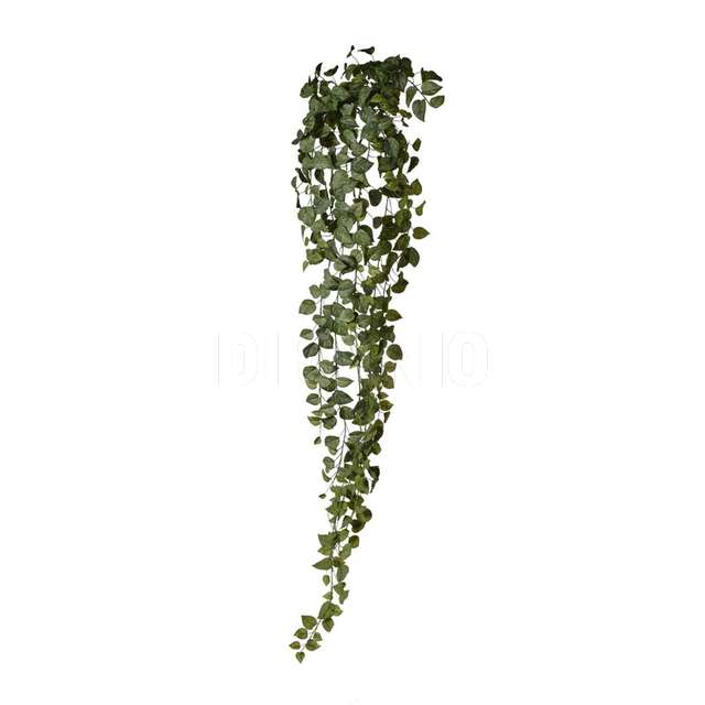 Cadente pothos con 423 foglie cm.178 - Principale
