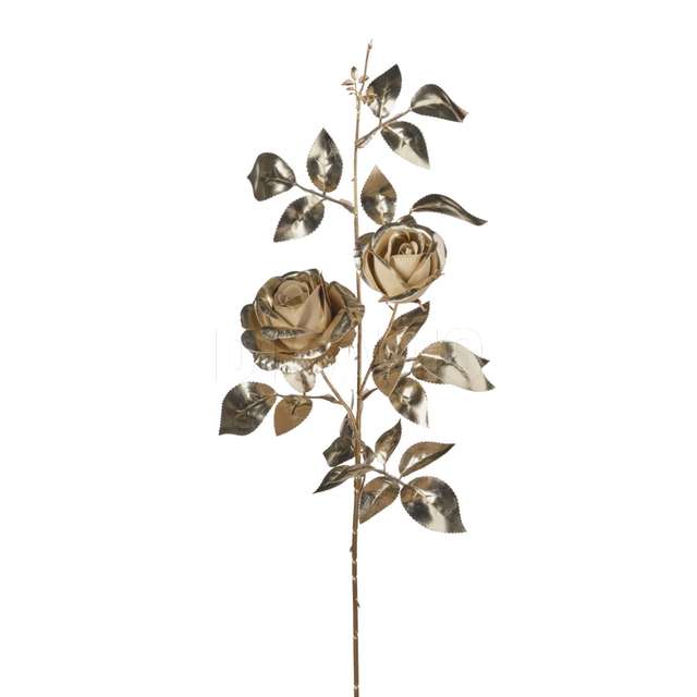 Ramo rosa x 2 cm98 champagne - Principale