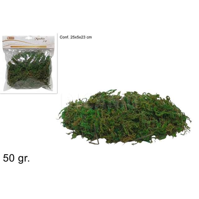 Muschio busta 50grammi verde - Principale
