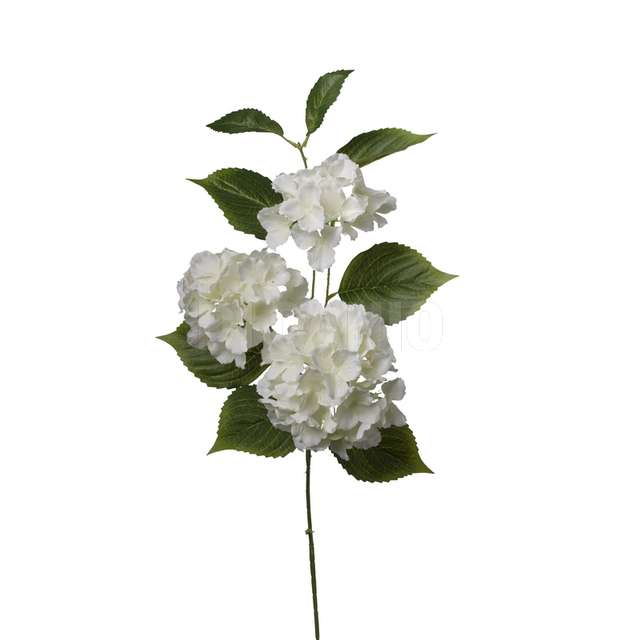 Ramo ortensia x 3 cm.80 cream - Principale