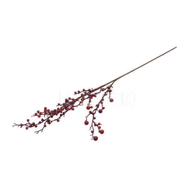 Ramo bacche rosse part. 306114591 - Principale