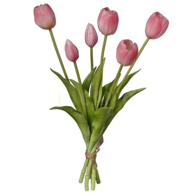 Mazzo tulipano x 6 cm15*15*39 corallo - Principale