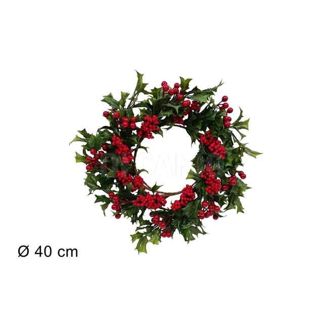 Dietroporta vischio 40 cm. - Principale