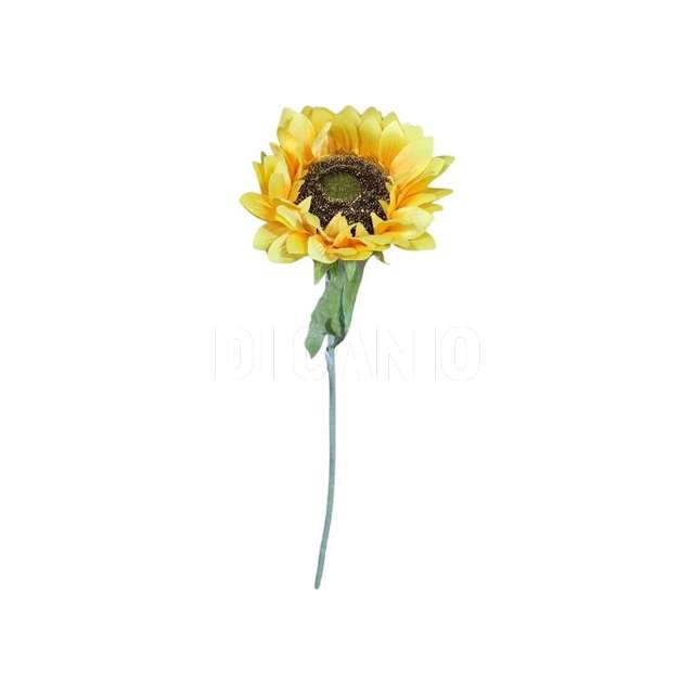 Girasole ramo singolo con 2 foglie - Principale