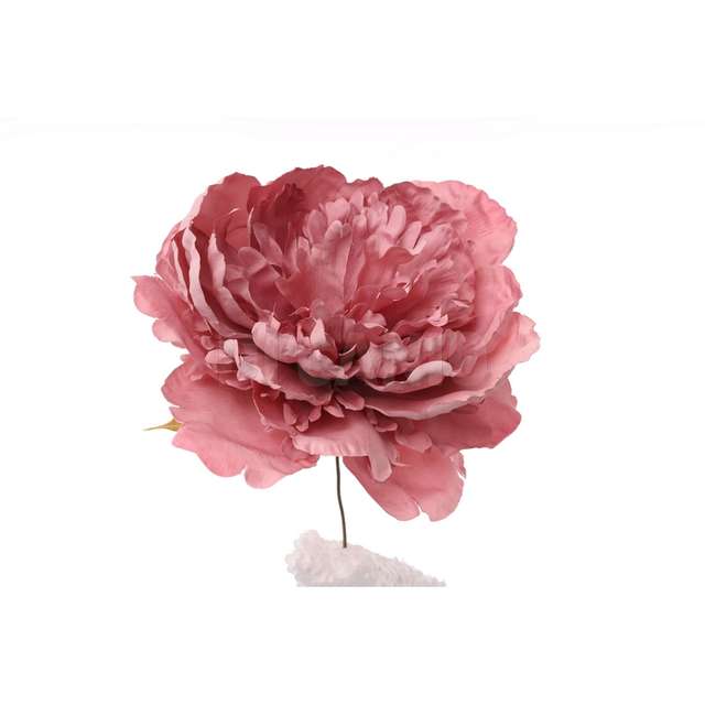Pick peonia rosa - Principale