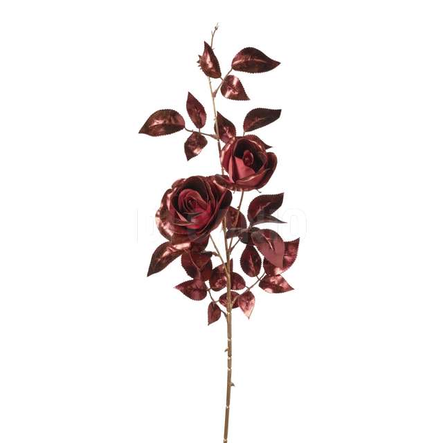 Ramo rosa x 2 cm98 burgundy - Principale