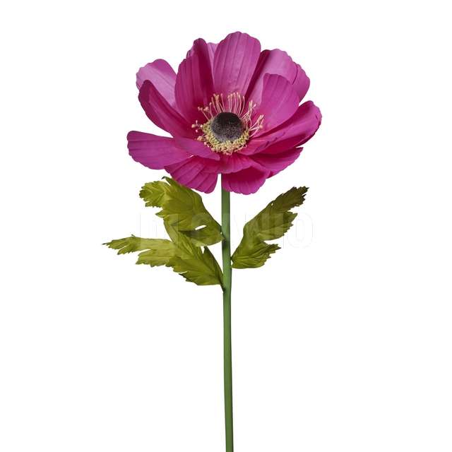 Ramo anemone cm.105 beauty - Principale