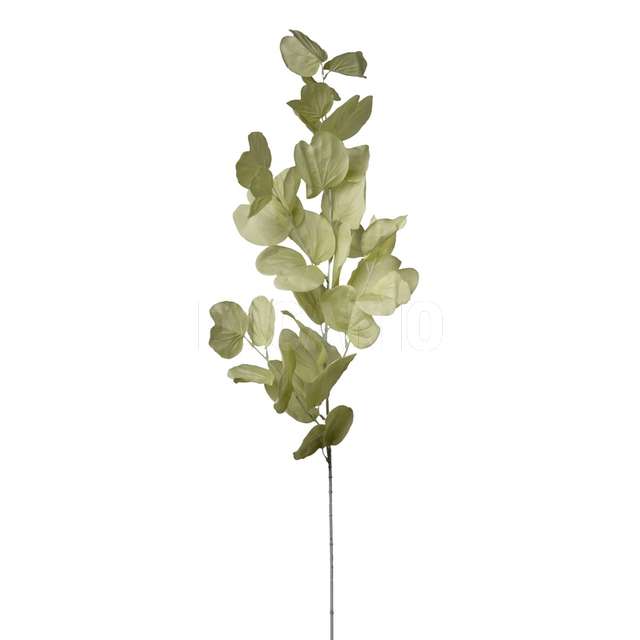Ramo ecucaliptus cm.115 soft green - Principale