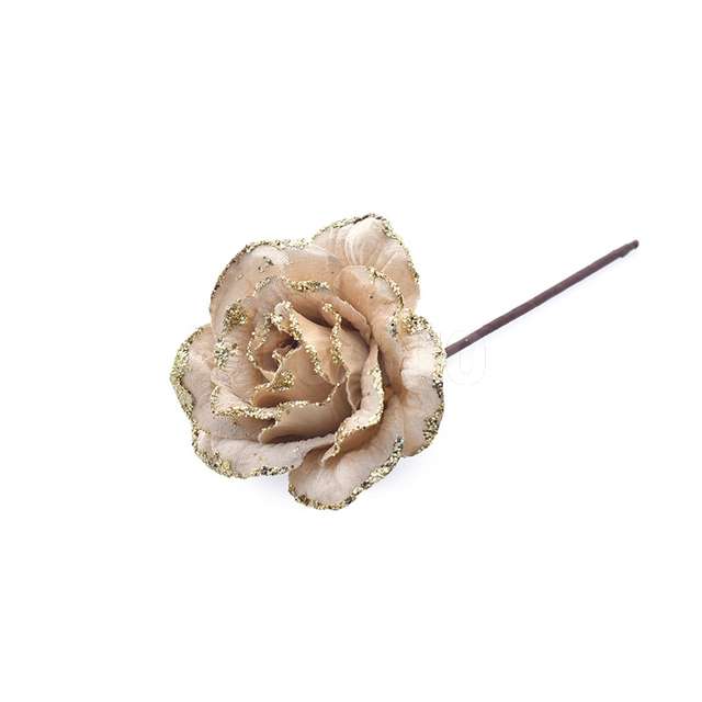 Rosa gambo corto panna - Principale