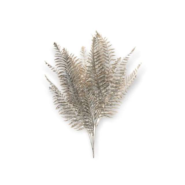 Mazzo felce cm 43 champagne - Principale