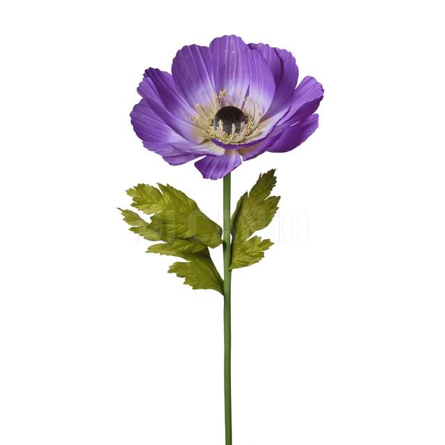 Ramo anemone cm.105 purple - Principale