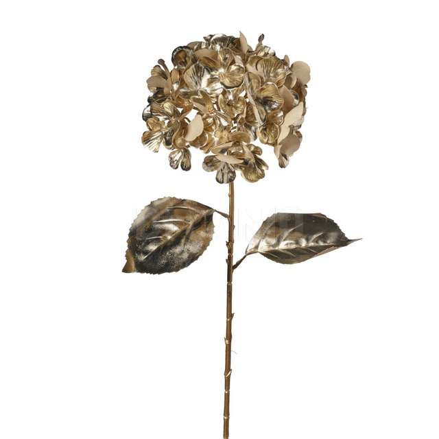 Ramo ortensia cm 75 champagne - Principale