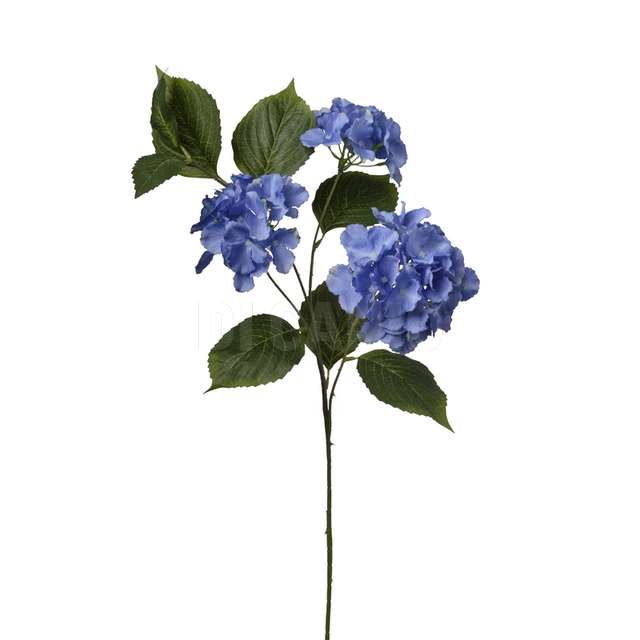 Ramo ortensia x 3 cm.80 blue - Principale