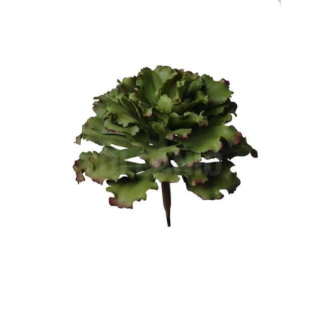 Pianta grassa cm.23.5 green/verde - Principale