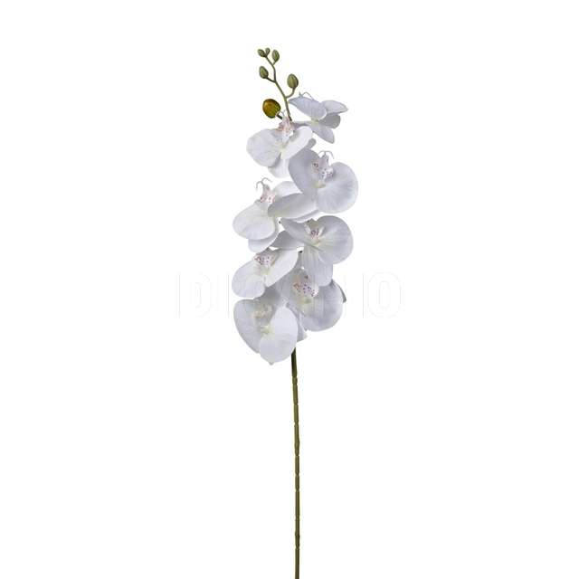 Ramo phaleonopsis cm.90 cream - Principale