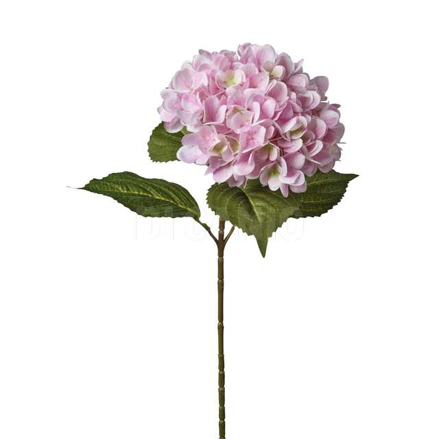 Ramo ortensia cm.65 pink. - Principale