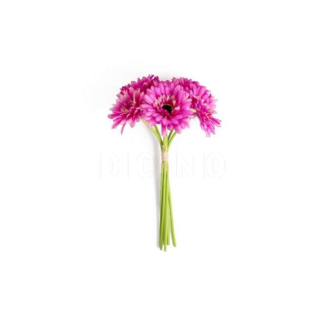 Gerbere 6pz fucsia in poliestere e plastica 16x16xh.33cm - Principale