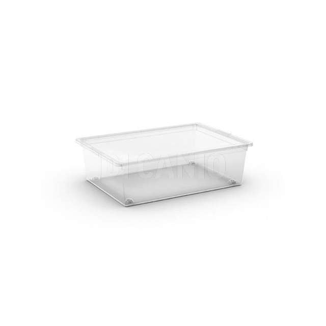 Box c_c cm.55x38.5x16.5 l abm - Principale