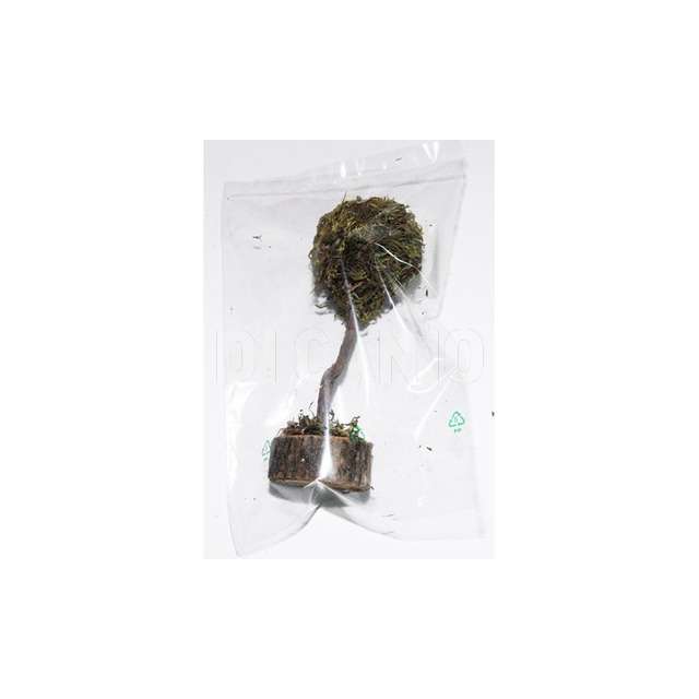 Sacchetto con 1 albero euromar.e5 - Principale