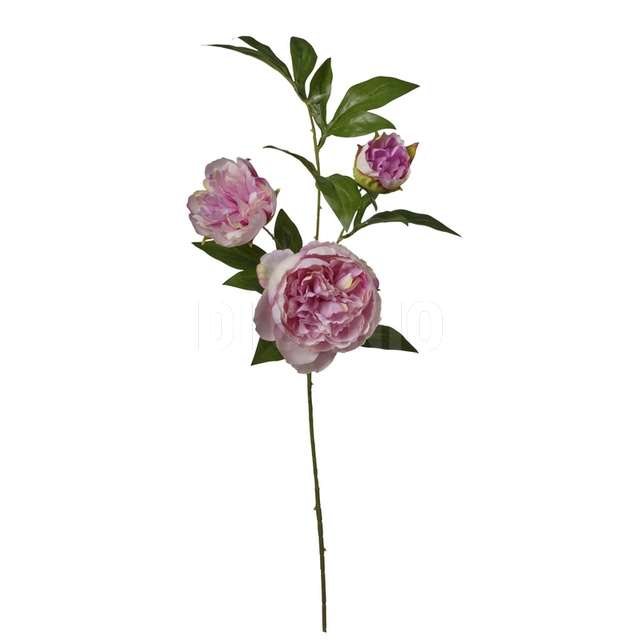 Ramo peonia x 3 cm.80 pink - Principale