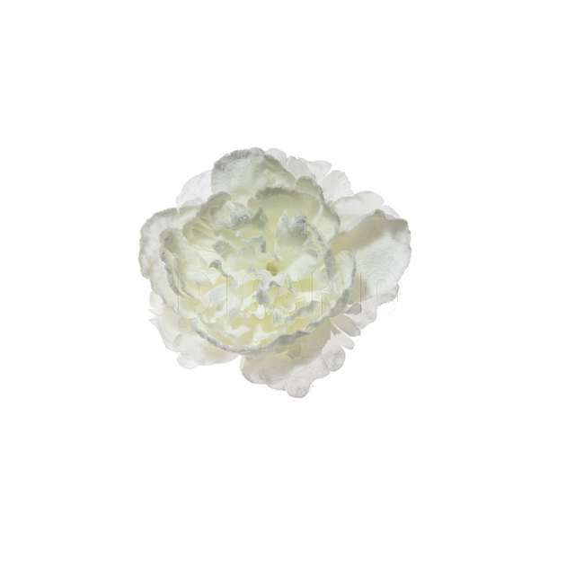 Pick peonia innevata in pvcbbox cm.23 bianco - Principale