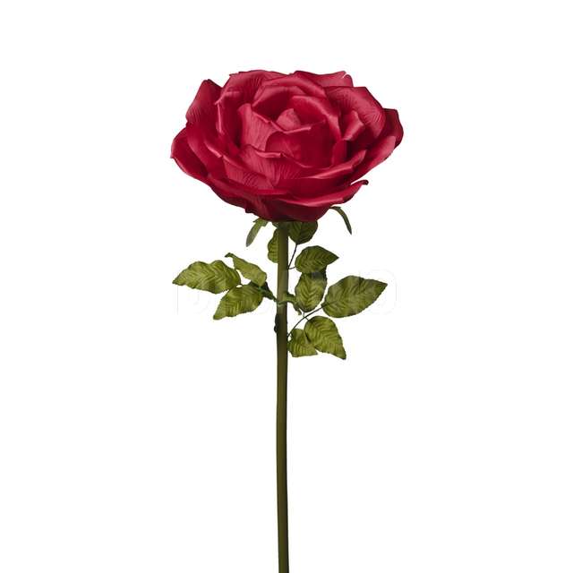 Ramo rosa cm.136 red - Principale