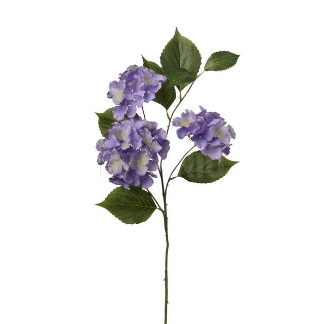 Ramo ortensia x 3 cm.80 purple - Principale