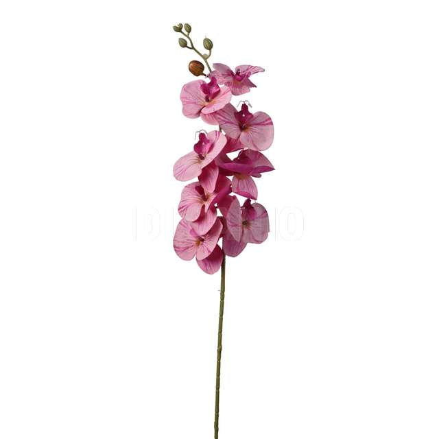 Ramo phaleonopsis cm.90 dk. pink - Principale