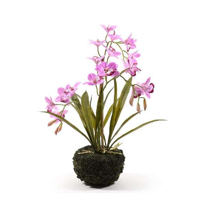 Orchidea real touch cm.53 - Principale