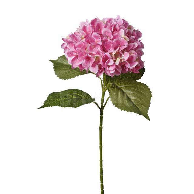 Ramo ortensia cm.65 fuxia. - Principale