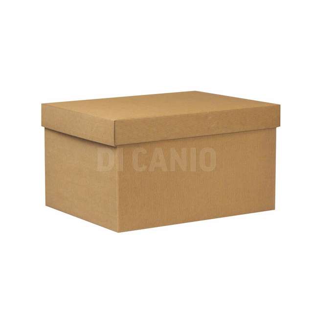 Scatola cartone onda avana cm.39.5x30x22linea 1100 - Principale