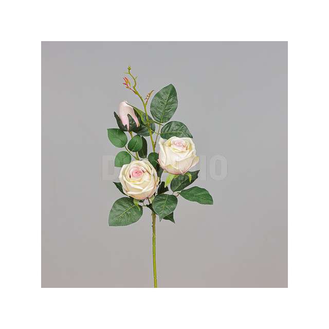 Ramo rosa x 3 cm 80 colore champagne - Principale