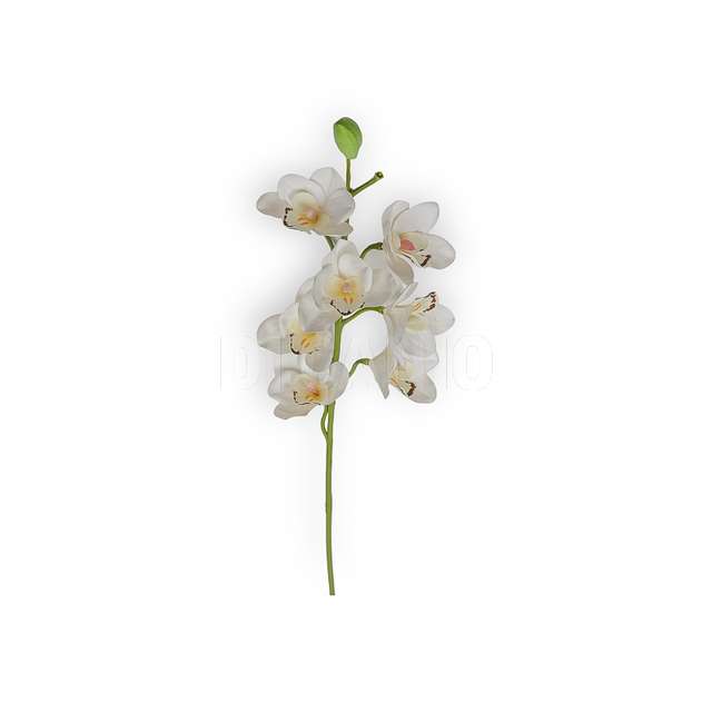 Ramo orchidea cm.75 cream - Principale