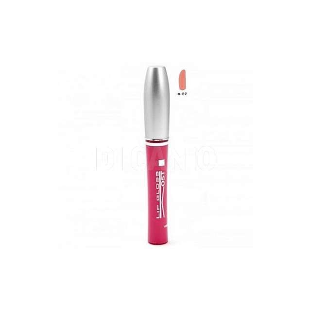Lip gloss kost 22 - Principale