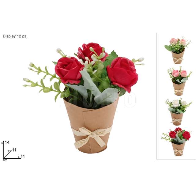 Piantina rose con cartoncino 4 colori - Principale