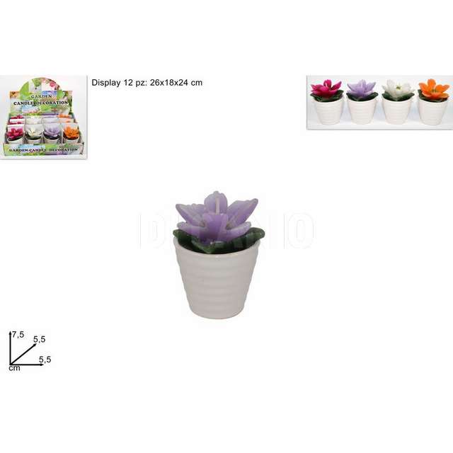 Candela fiore c_vaso 4col in display art. tf5909 d.e. - Principale