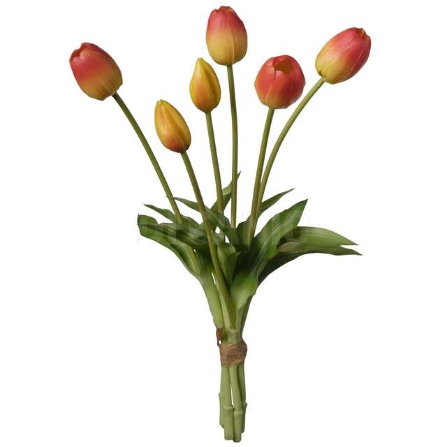 Mazzo tulipano x 6 cm,15x15x39 pesca - Principale