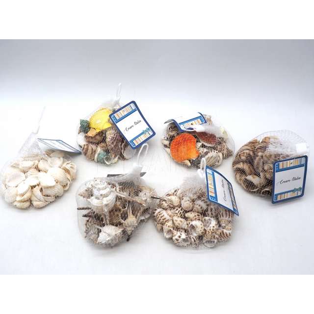 Conchiglie con rete 100-150 gr 6 assortito - Principale