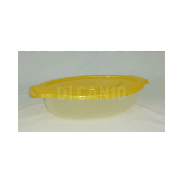 Contenitore c_coperchio grande reca plast - Principale