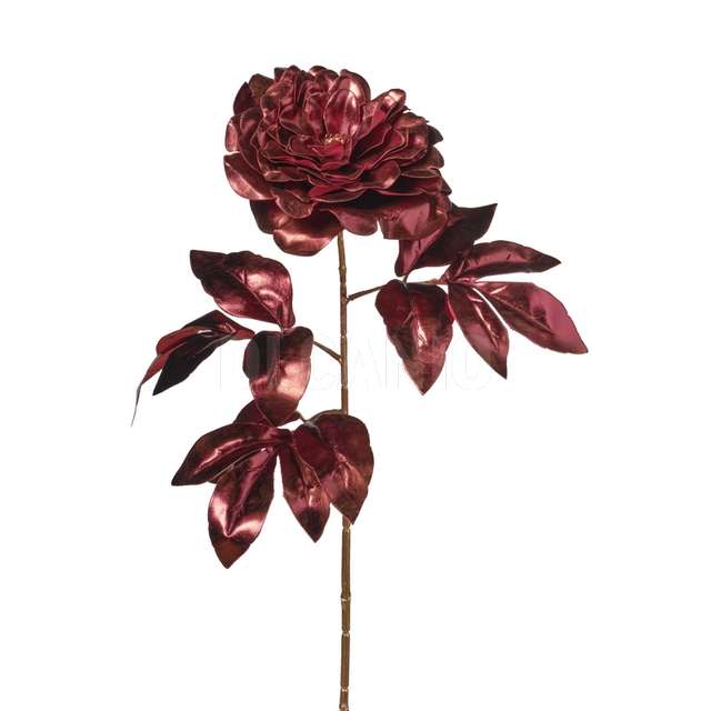 Ramo peonia cm 68 burgundy - Principale