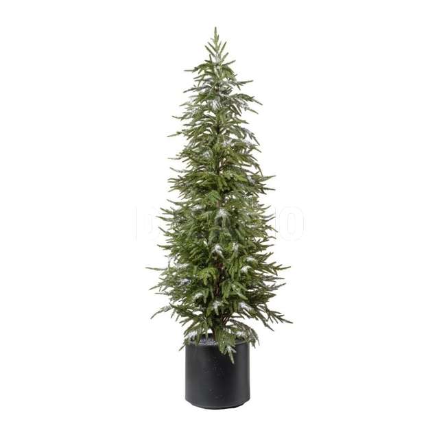 Albero pino c/neve h.152 cm snowed - Principale