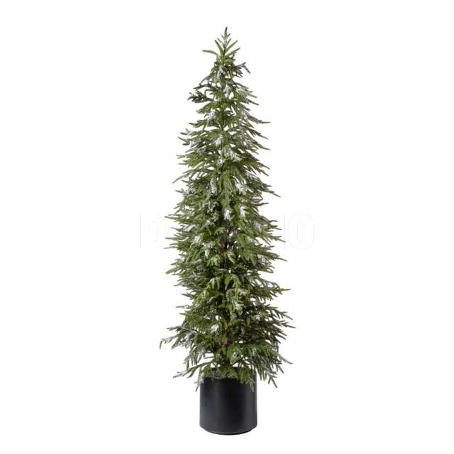 Albero pino c/neve h.183 cm snowed - Principale