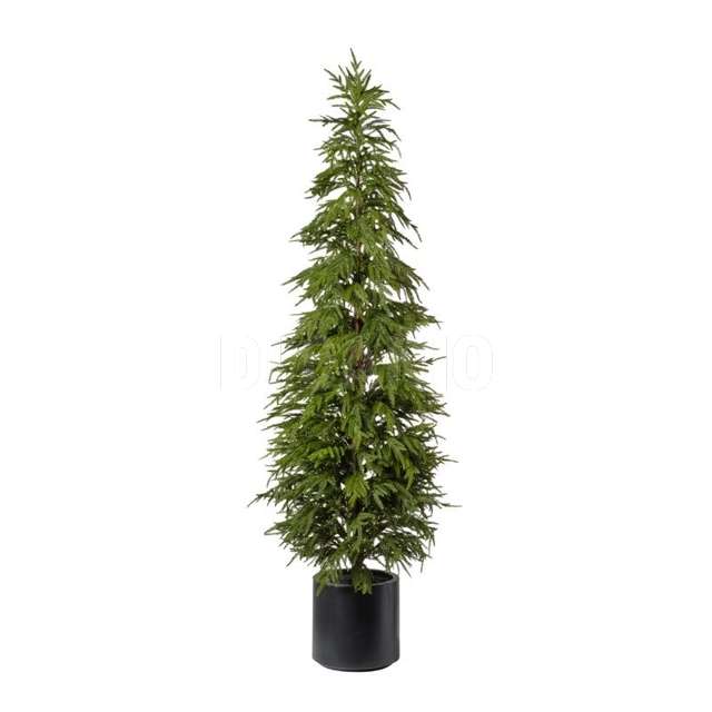 Albero pino c/vaso h.183 cm green - Principale