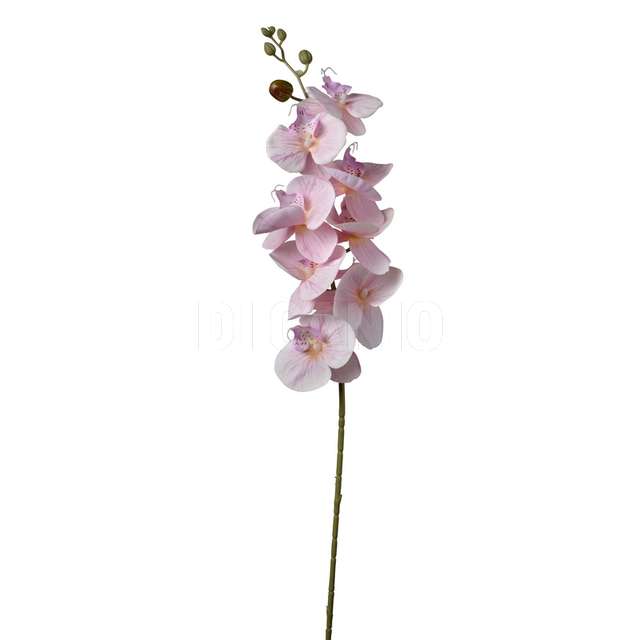 Ramo phaleonopsis cm.90 soft pink - Principale