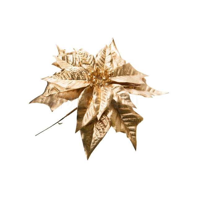Pick poinsettia gold arpimex n17286 - Principale