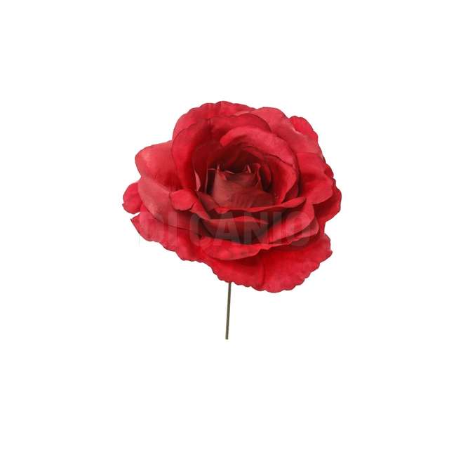 Pick rosa rosso - Principale