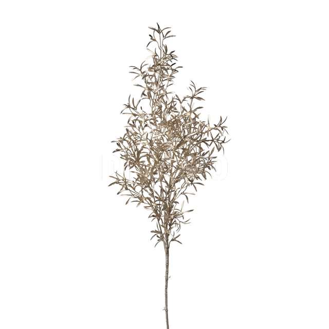 Ramo rosmarino cm 84 champagne - Principale