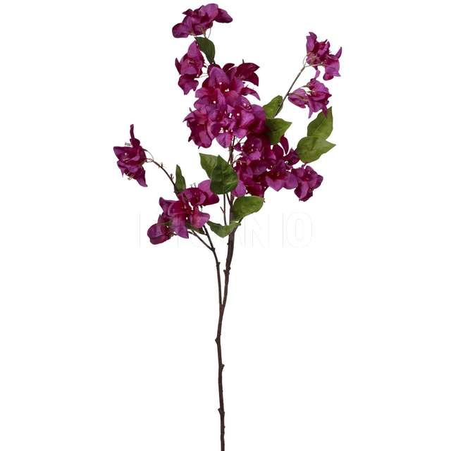Ramo bouganvillea cm 105 - Principale