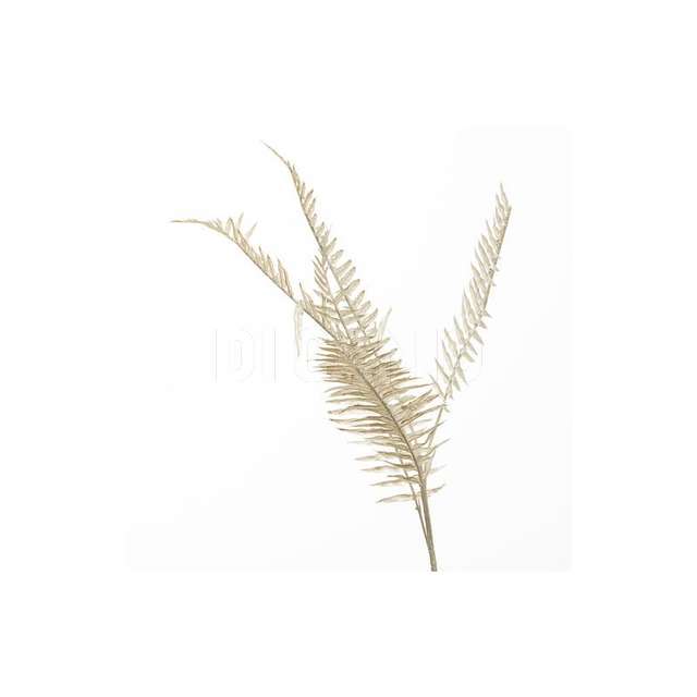 Ramo felce x 3 cm 80 bianco - Principale