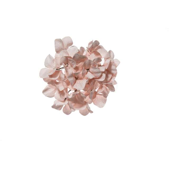 Pick ortensia innevata in pvc box cm.21 cipria - Principale
